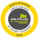 Comité Paritario certificado categoría Oro, Mutual de Seguridad CCHC